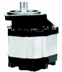 Hydraulic Pump