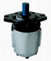 Hydraulic Pump