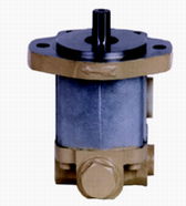 Hydraulic Pump