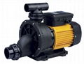 BTP SERIES QUIET-RUNNING BATHTUB WHIRL POOL PUMPS