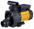 BTP SERIES QUIET-RUNNING BATHTUB WHIRL POOL PUMPS 1