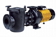 CFRP SERIES MONOBLOC SWIMMING POOL PUMPS