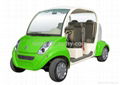 Electric Golf Cart