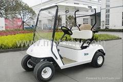 Golf Cart/Electric car