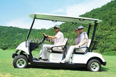 Golf Cart/Electri Car