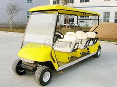 Golf Cart/Electric cart
