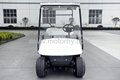 Golf Cart/Electric car 3