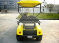 Golf Cart/Electric cart 2
