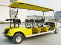 Golf Cart/Electric cart 3