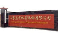 Shijiazhuang Linsen Malleable Iron Co., Ltd.