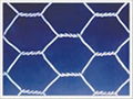 Hexagonal wire mesh