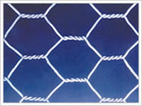 Hexagonal wire mesh