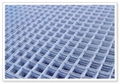 Welded Wire Mesh 