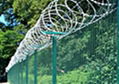 Wire Mesh Fences