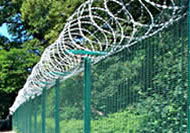 Wire Mesh Fences