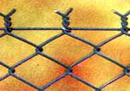 Chain link fence