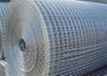 Welded wire mesh 5