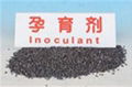 Inoculant 