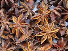 Star Aniseed