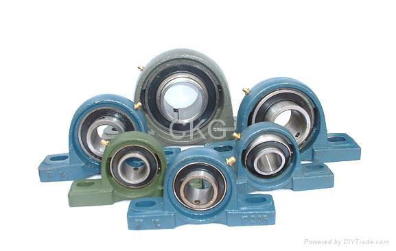 Pillow block ball bearings 2