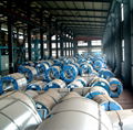 galvanized steel coils and prepainted 3