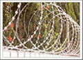 barbed iron wire 1