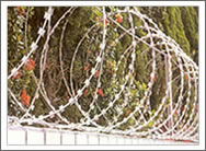 barbed iron wire