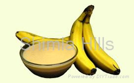 Banana Puree/ Pulp