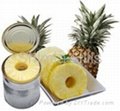 Canned Pineapple Whole-Broken Slices,Pieces,Tidbits,Chunks 1