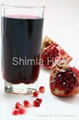 Pomegranate Juice Concentrate 1