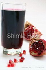 Pomegranate Juice Concentrate