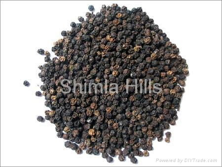 Black Pepper