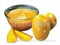 Processed Mango Products