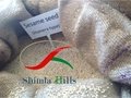 Ethiopian Sesame Seeds