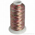 Space dyed rayon variegated thread 1