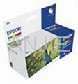 Ink Cartridge (c8765w) 1