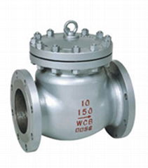 API  CHECK VALVE