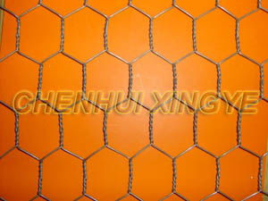 Galvanized Hexagonal Wire Netting