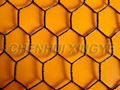 PVC Coated Hexagonal Wire Netting 1