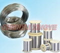 Stainless Steel Wire