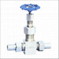 GLOBE VALVE 3