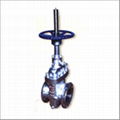 GLOBE VALVE 4