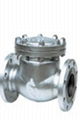 check valve 1