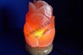 Carving-shape Salt Lamp