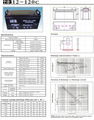 VRLA Battery ( 12-120C ) sealed lead acid battery 2