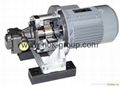 KRACHT GEAR PUMP 1