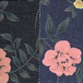 Cotton Denim Fabric(Stretch)