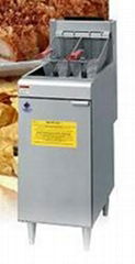 gas / electricity fryer