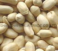 blanched peanut kernels 1