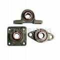 Pillow block bearing 3